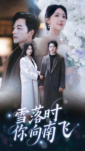 雪落時(shí)你向南飛